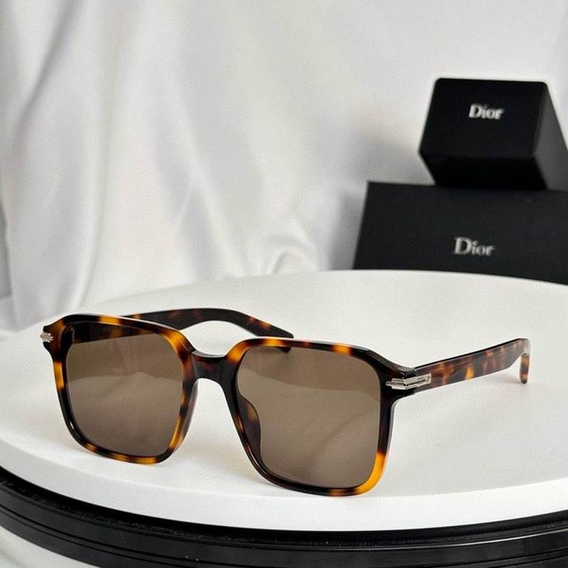 DIOR Sunglasses 284